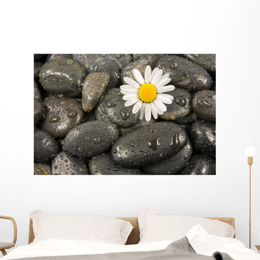 Wet Black Stones and Wall Decal