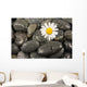 Wet Black Stones and Wall Decal