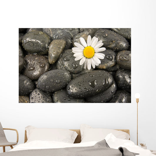 Wet Black Stones and Wall Decal