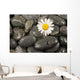 Wet Black Stones and Wall Decal