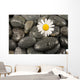 Wet Black Stones and Wall Decal