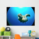 Flying Sea Turtle Wall Decal