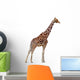 Giraffe Right Side Wall Decal