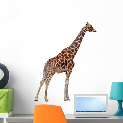 Giraffe Right Side Wall Decal shown on a wall