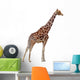 Giraffe Right Side Wall Decal