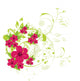 Hibiscus Wall Decal