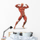 Man Muscular System Anterior