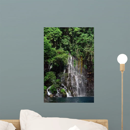 tropical jungle waterfall Wall Mural
