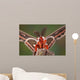 Cecropia Moth Portrait Wall Mural