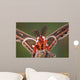 Cecropia Moth Portrait Wall Mural