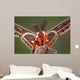 Cecropia Moth Portrait Wall Mural