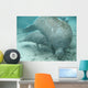 manatee lamantin Wall Mural
