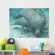 manatee lamantin Wall Mural