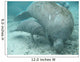 manatee lamantin Wall Mural