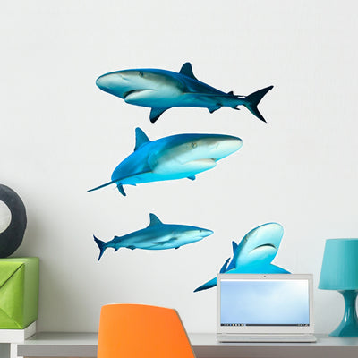 Four Reef Sharks Wall Stickers shown on a wall