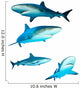 Four Reef Sharks Wall Decal