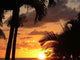 Sunriseguadeloupe Wall Decal