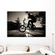 Boy Jumping Over Bench on Bmx Wall Mural