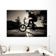 Boy Jumping Over Bench on Bmx Wall Mural