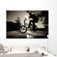 Boy Jumping Over Bench on Bmx Wall Mural