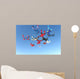 Skydiving Photo Wall Mural
