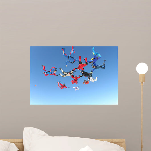 Skydiving Photo Wall Mural