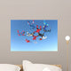 Skydiving Photo Wall Mural