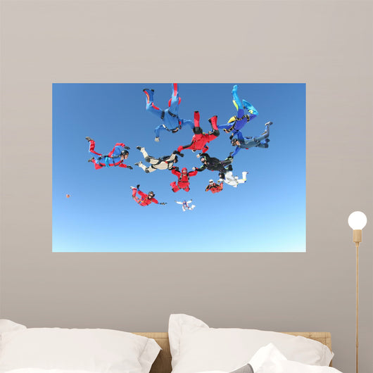 Skydiving Photo Wall Mural