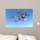 Skydiving Photo Wall Mural