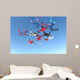 Skydiving Photo Wall Mural