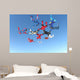 Skydiving Photo Wall Mural