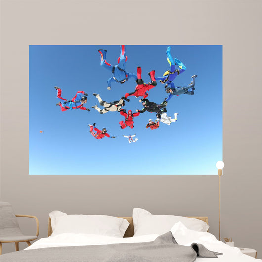 Skydiving Photo Wall Mural