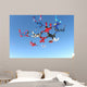 Skydiving Photo Wall Mural