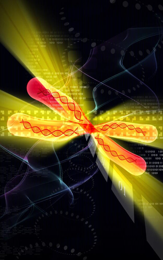 Chromosome Wall Mural