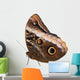 Yellow-edged Giant Owl Wall Mural