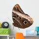 Yellow-edged Giant Owl Wall Mural