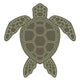 Green Sea Turtle