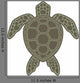 Green Sea Turtle