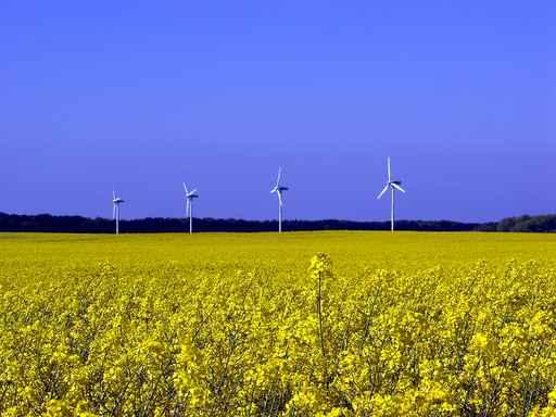 Wind Power Wall Decal