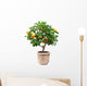 Small Tangerines Tree Wall Decal