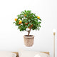 Small Tangerines Tree Wall Decal