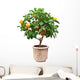 Small Tangerines Tree Wall Decal