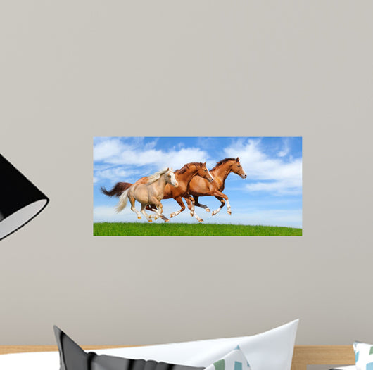 Three Stallions Gallop