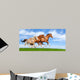 Three Stallions Gallop