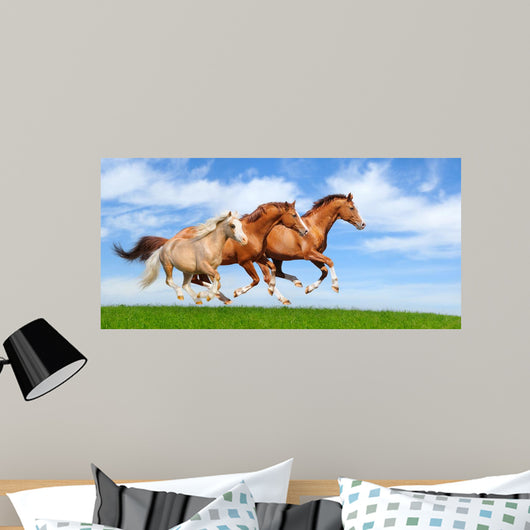 Three Stallions Gallop