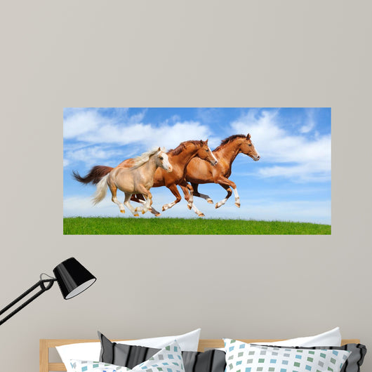 Three Stallions Gallop