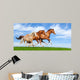 Three Stallions Gallop