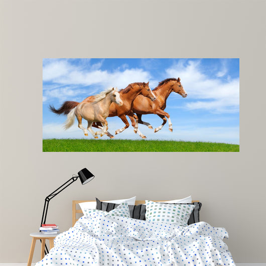 Three Stallions Gallop