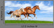 Three Stallions Gallop