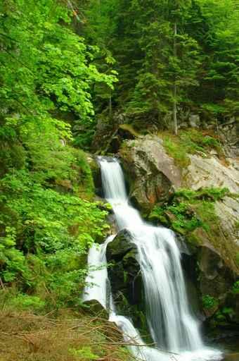 Lush Forest Waterfall Wall Decal